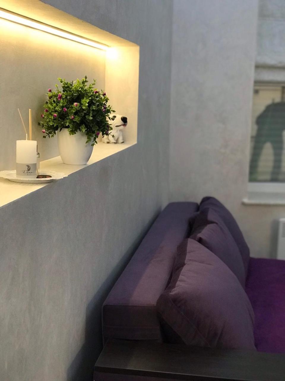 Newtone Apartment Černovice Exteriér fotografie